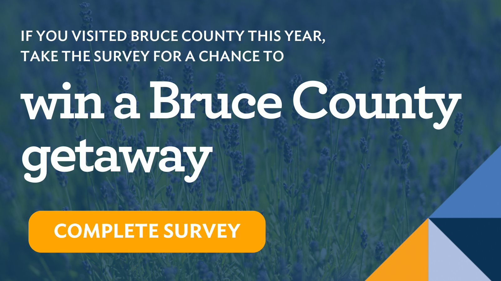 2024 Visitors Survey